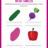 Vegetables ESL Workbook