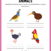 Animals ESL Workbook