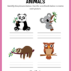Animals ESL Workbook